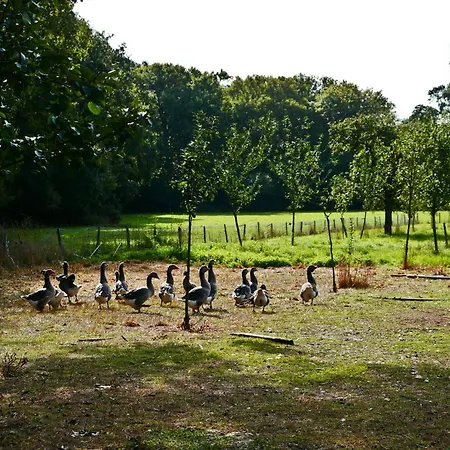 Bed and Breakfast La Garenne *